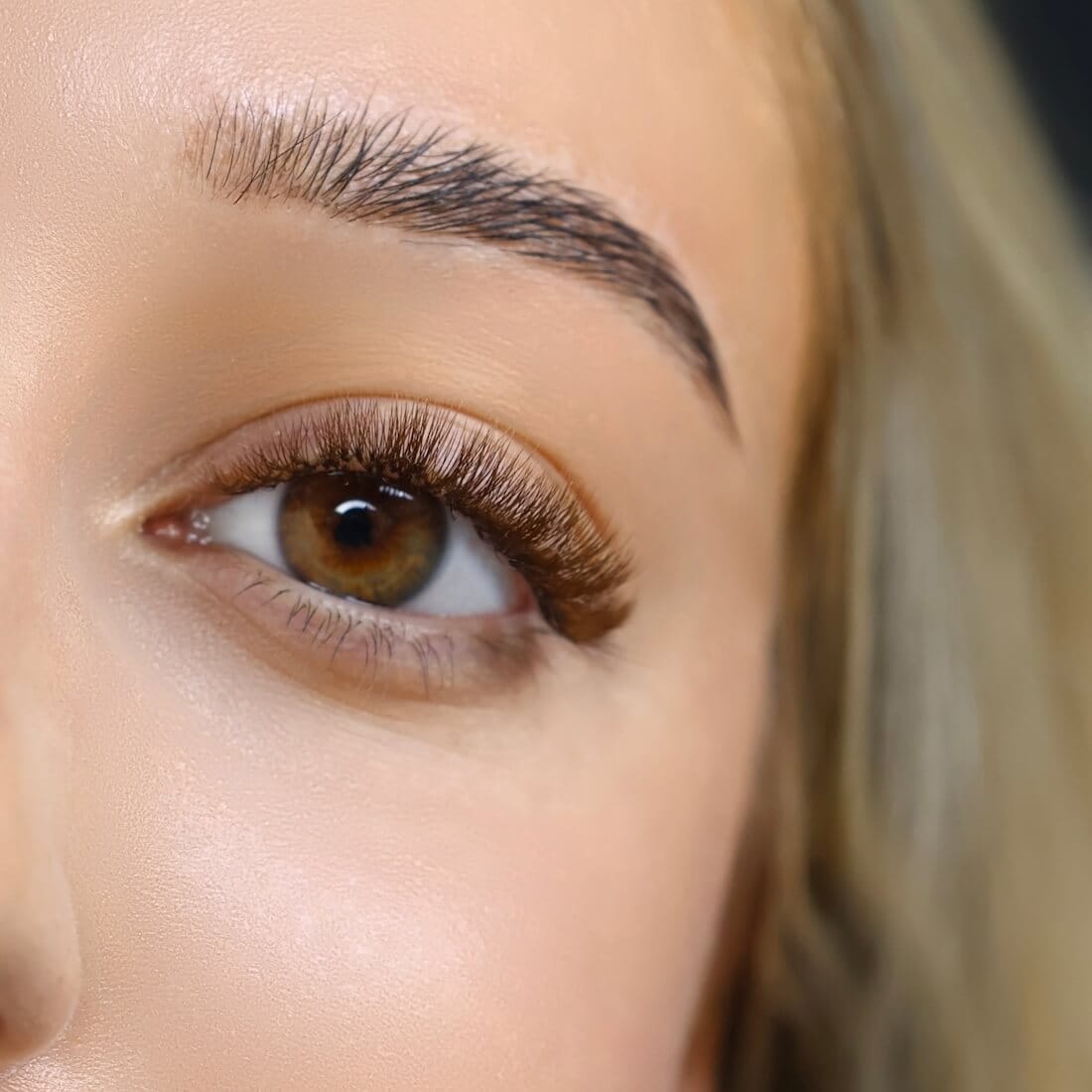 5D Super Narrow Brown valmislehvikud modellil.