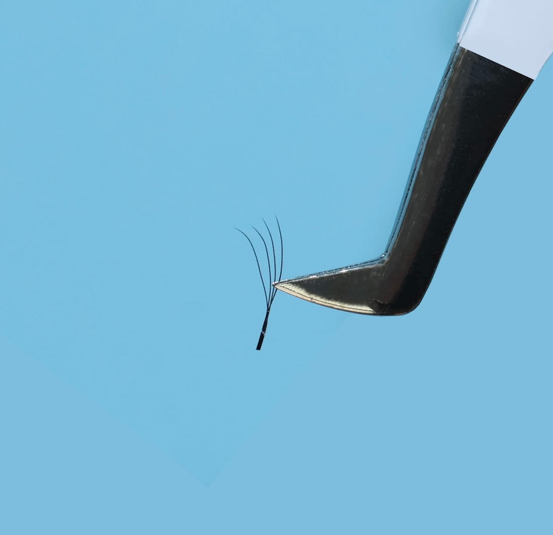 4D W valmislehvik koosneb neljast ripsmest..